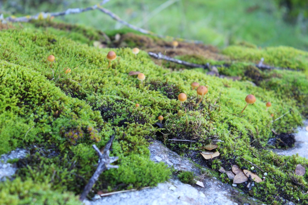 – A new chapter&nbsp;–